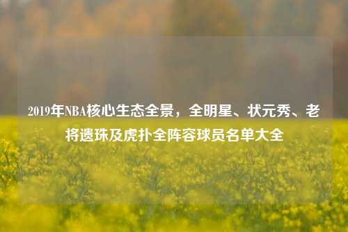 2019年NBA核心生态全景,全明星、状元秀、老将遗珠及虎扑全阵容球员名单大全