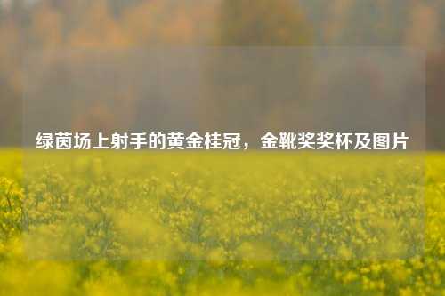 绿茵场上射手的黄金桂冠,金靴奖奖杯及图片