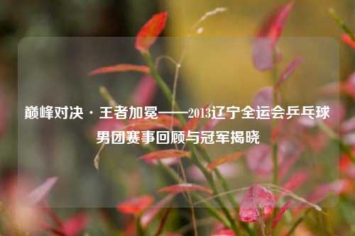 巅峰对决·王者加冕——2013辽宁全运会乒乓球男团赛事回顾与冠军揭晓
