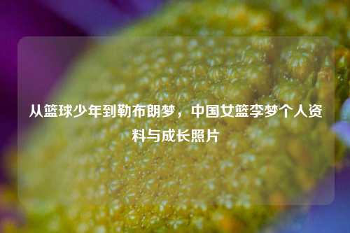 从篮球少年到勒布朗梦,中国女篮李梦个人资料与成长照片