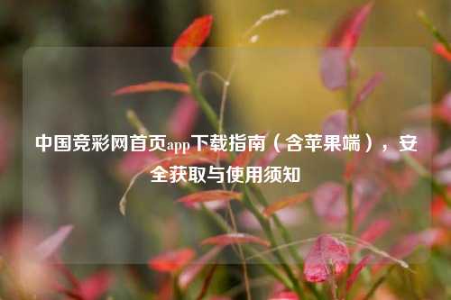 中国竞彩网首页app下载指南(含苹果端),安全获取与使用须知