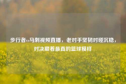 步行者vs马刺视频直播,老对手坚韧对碰沉稳,对决藏着最真的篮球模样