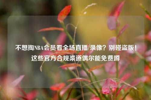 不想掏NBA会员看全场直播/录像?别碰盗版!这些官方合规渠道偶尔能免费蹲