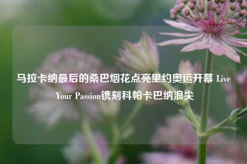 马拉卡纳最后的桑巴烟花点亮里约奥运开幕 Live Your Passion镌刻科帕卡巴纳浪尖