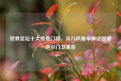 世界足坛十大传奇门将,从八爪雅辛神话到诺伊尔门卫革命