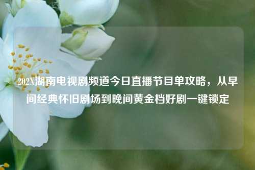 202X湖南电视剧频道今日直播节目单攻略,从早间经典怀旧剧场到晚间黄金档好剧一键锁定