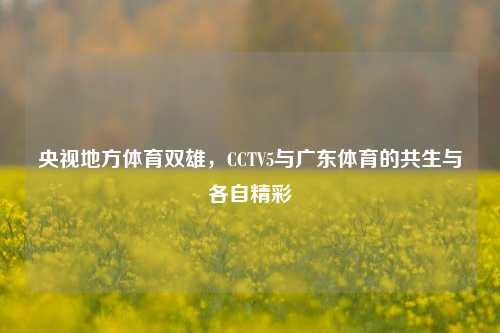 央视地方体育双雄,CCTV5与广东体育的共生与各自精彩