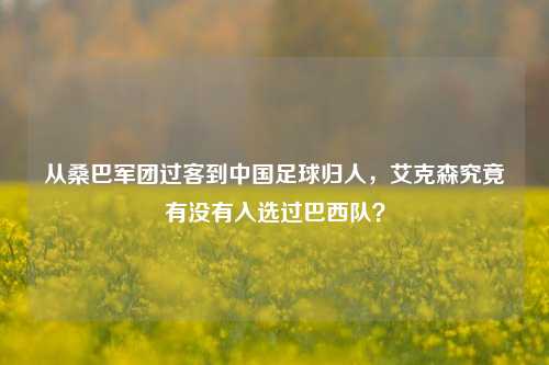 从桑巴军团过客到中国足球归人,艾克森究竟有没有入选过巴西队?