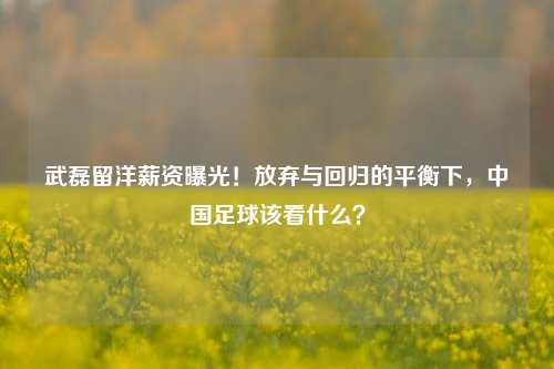 武磊留洋薪资曝光!放弃与回归的平衡下,中国足球该看什么?