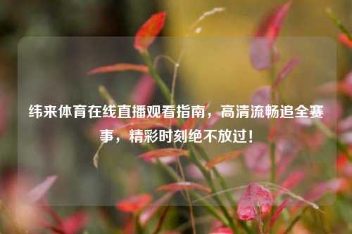纬来体育在线直播观看指南,高清流畅追全赛事,精彩时刻绝不放过!