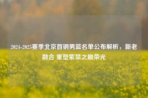 2024-2025赛季北京首钢男篮名单公布解析,新老融合 重塑紫禁之巅荣光