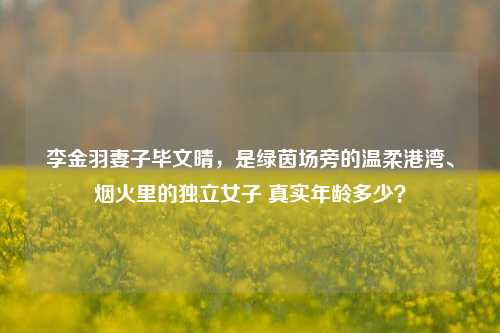 李金羽妻子毕文晴,是绿茵场旁的温柔港湾、烟火里的独立女子 真实年龄多少?