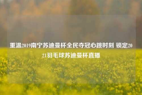 重温2019南宁苏迪曼杯全民夺冠心跳时刻 锁定2021羽毛球苏迪曼杯直播