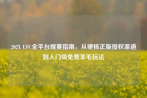 202X UFC全平台观赛指南,从硬核正版授权渠道到入门级免费羊毛玩法