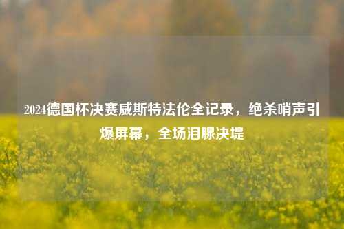 2024德国杯决赛威斯特***全记录,绝杀哨声引爆屏幕,全场泪腺决堤