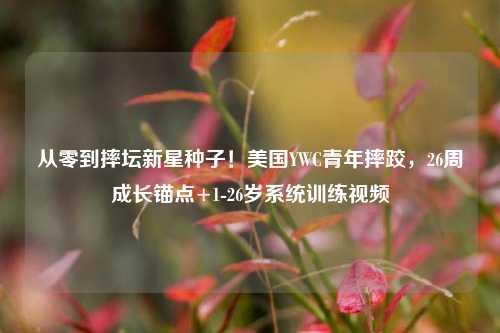 从零到摔坛新星种子!美国YWC青年摔跤,26周成长锚点+1-26岁系统训练视频