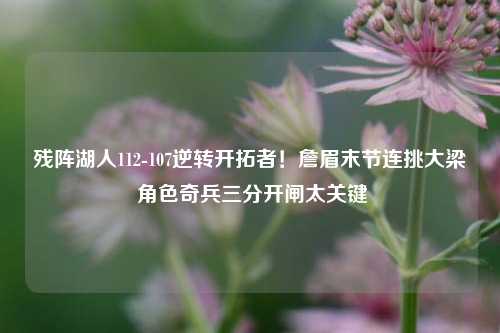 残阵湖人112-107逆转开拓者!詹眉末节连挑大梁 角色奇兵三分开闸太关键