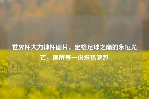 世界杯大力神杯图片,定格足球之巅的永恒光芒,唤醒每一份炽热梦想