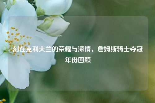 刻在克利夫兰的荣耀与深情,詹姆斯骑士夺冠年份回顾