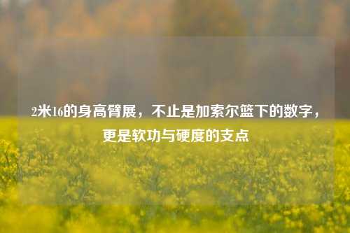 2米16的身高臂展,不止是加索尔篮下的数字,更是软功与硬度的支点