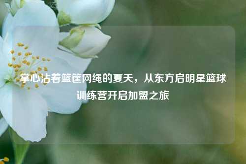 掌心沾着篮筐网绳的夏天,从东方启明星篮球训练营开启加盟之旅