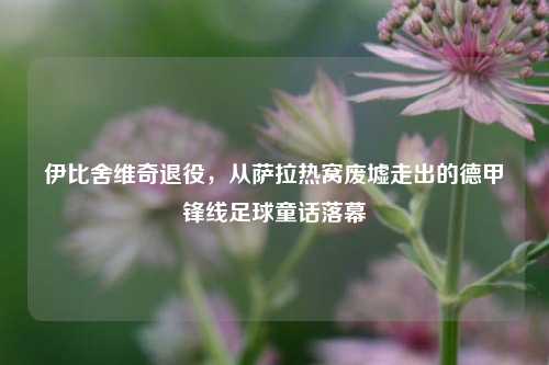 伊比舍维奇退役,从萨拉热窝废墟走出的德甲锋线足球童话落幕