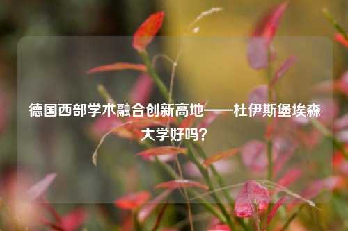 德国西部学术融合创新高地——杜伊斯堡埃森大学好吗?
