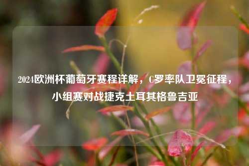 2024欧洲杯葡萄牙赛程详解,C罗率队卫冕征程,小组赛对战捷克土耳其格鲁吉亚