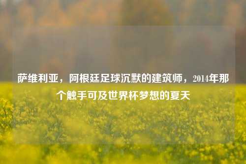 萨维利亚,阿根廷足球沉默的建筑师,2014年那个触手可及世界杯梦想的夏天