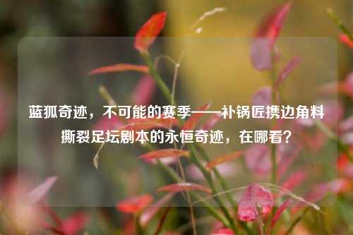 蓝狐奇迹,不可能的赛季——补锅匠携边角料撕裂足坛剧本的永恒奇迹,在哪看?