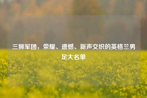 三狮军团,荣耀、遗憾、新声交织的英格兰男足大名单