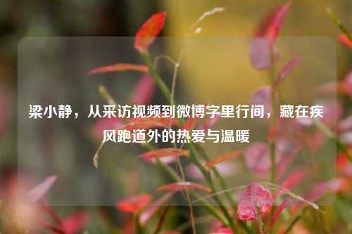 梁小静,从采访视频到微博字里行间,藏在疾风跑道外的热爱与温暖