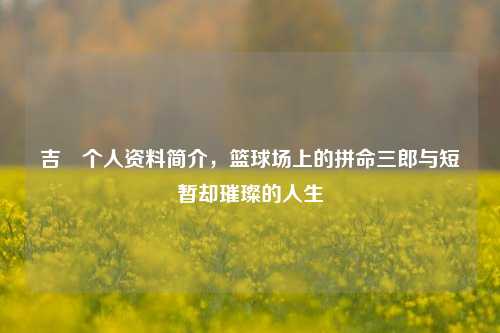 吉喆个人资料简介,篮球场上的拼命三郎与短暂却璀璨的人生