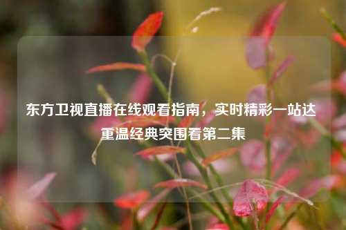 东方卫视直播在线观看指南，实时精彩一站达 重温经典突围看第二集