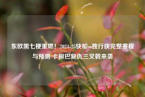 东欧黑七梗重燃!2024-25快船vs独行侠完整赛程与预测 卡椒巴复仇三叉戟来袭