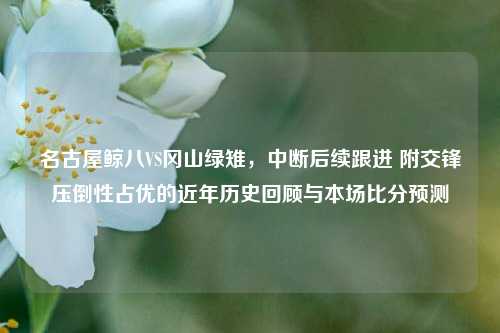名古屋鲸八VS冈山绿雉,中断后续跟进 附交锋压倒性占优的近年历史回顾与本场比分预测