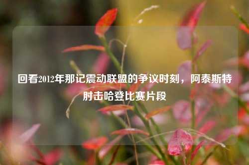 回看2012年那记震动联盟的争议时刻,阿泰斯特肘击哈登比赛片段