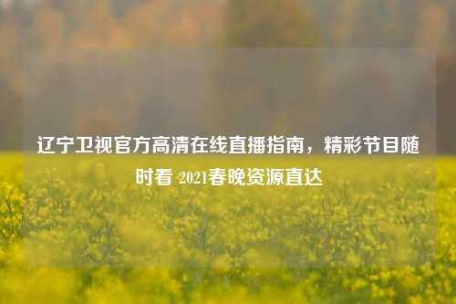 辽宁卫视官方***直播指南,精彩节目随时看 2021春晚资源直达