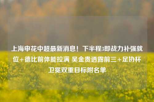 上海申花中超最新消息!下半程3即战力补强就位+德比前体能拉满 吴金贵透露前三+足协杯卫冕双重目标附名单