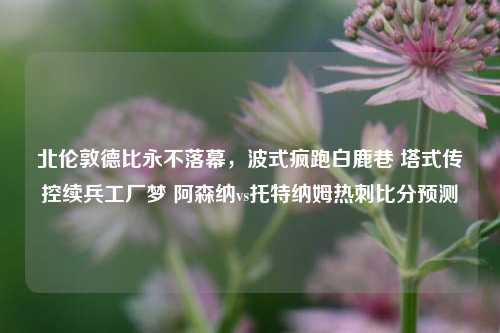 北伦敦德比永不落幕,波式疯跑白鹿巷 塔式传控续兵工厂梦 阿森纳vs托特纳姆热刺比分预测