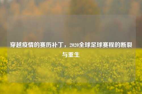 穿越疫情的赛历补丁,2020全球足球赛程的断裂与重生