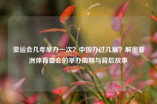 亚运会几年举办一次?中国办过几届?解密亚洲体育盛会的举办周期与背后故事