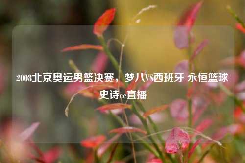 2008北京奥运男篮决赛,梦八VS西班牙 永恒篮球史诗cc直播