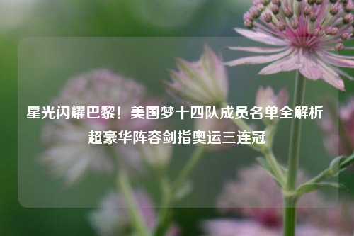 星光闪耀巴黎!美国梦十四队成员名单全解析 超豪华阵容剑指奥运三连冠
