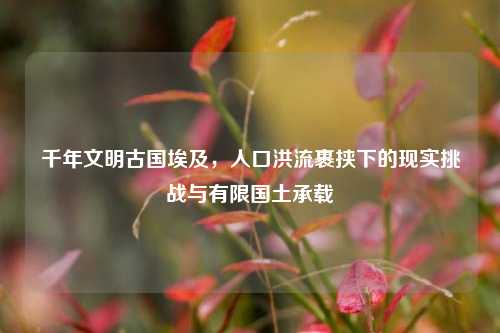 千年文明古国埃及,人口洪流裹挟下的现实挑战与有限国土承载