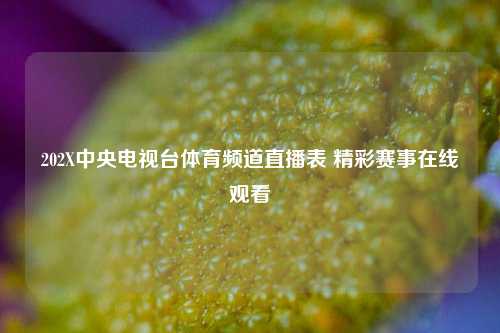 202X中央电视台体育频道直播表 精彩赛事在线观看