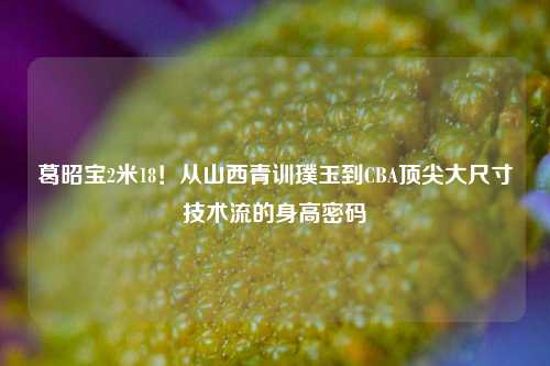 葛昭宝2米18!从山西青训璞玉到CBA顶尖大尺寸技术流的身高密码