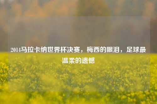 2014马拉卡纳世界杯决赛,梅西的眼泪,足球最温柔的遗憾