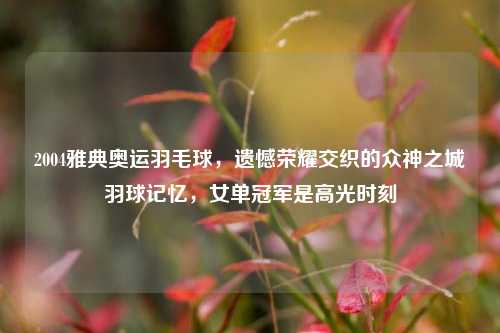 2004雅典奥运羽毛球,遗憾荣耀交织的众神之城羽球记忆,女单冠军是高光时刻