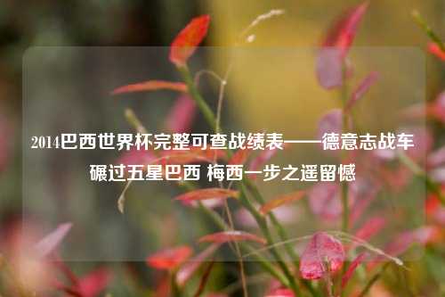 2014巴西世界杯完整可查战绩表——德意志战车碾过五星巴西 梅西一步之遥留憾